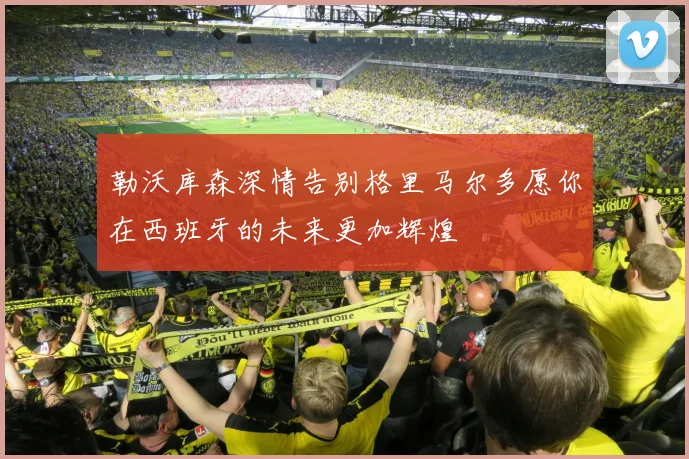 勒沃库森深情告别格里马尔多愿你在西班牙的未来更加辉煌