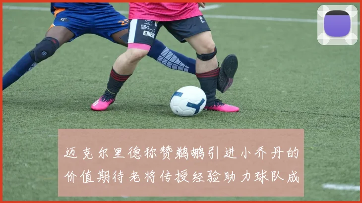 迈克尔里德称赞鹈鹕引进小乔丹的价值期待老将传授经验助力球队成长